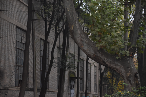 1604298009601982.png 3_副本.png