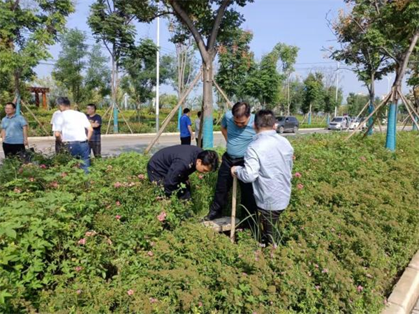 1633654880376194.png 图片3_副本.png