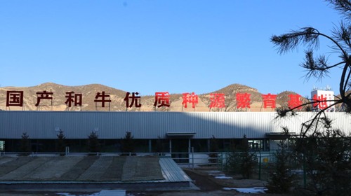 1761874265208662.jpg 640_副本.jpg