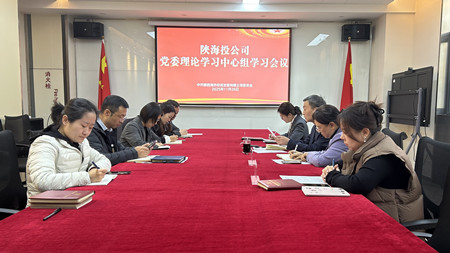 1764322742524945.jpg 陕海投公司:召开2025年第11次党委理论学习中心组学习会议_副本.jpg