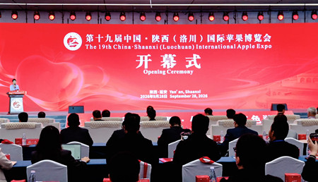 1790749364650538.jpg edcb3aee94f5e40b8b3511e5e4514dad_1790586581328_1_副本.jpg